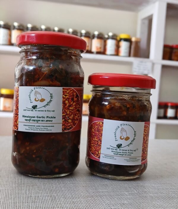 Himalayan Natural Garlic Pickle 100 Gm